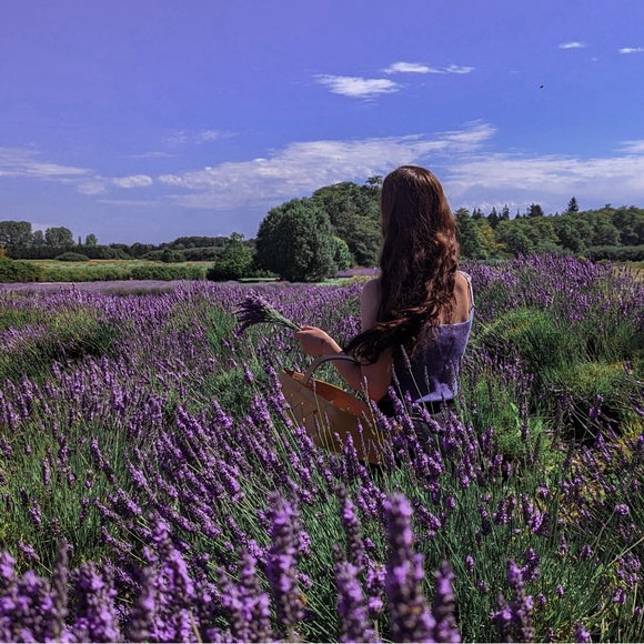 meet the posher - phoebe rainier π€ππ―οΈπΉβ¨βοΈ - Picture 1 of 16